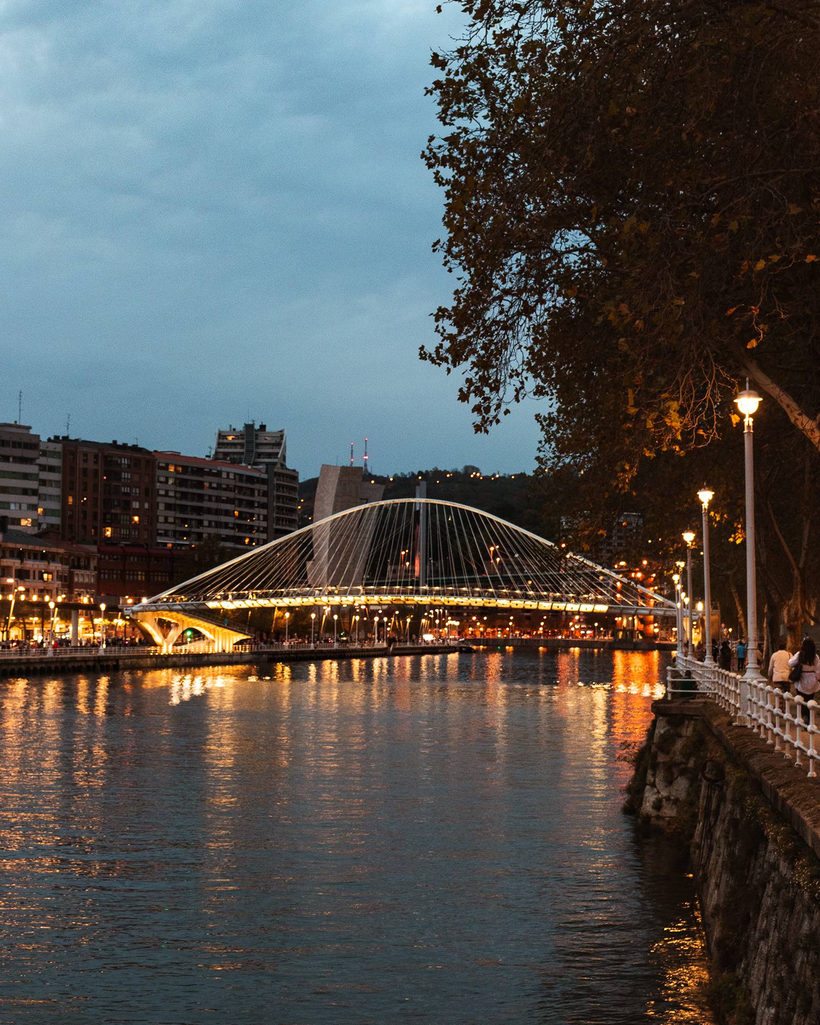 Zubizuri bridge in Bilbao at night