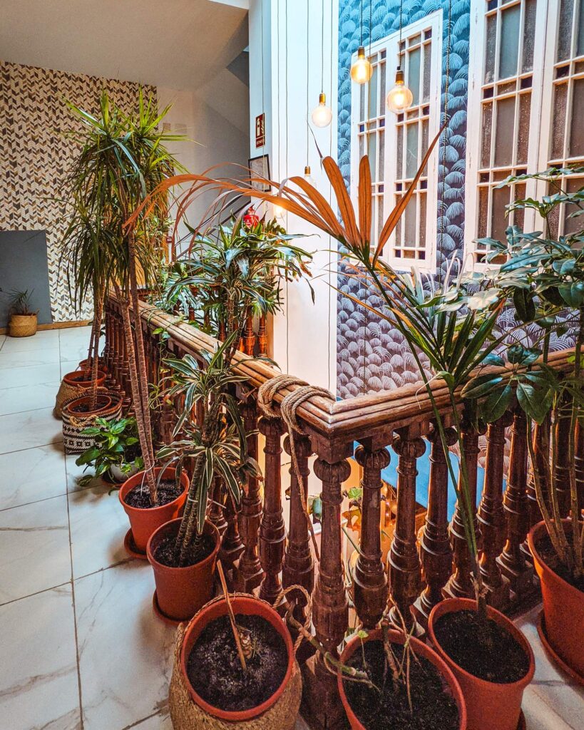 Plants surrounding a stairwell in the Urban Jungle Hostel Malaga
